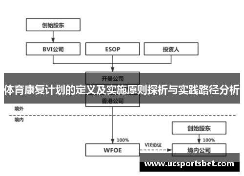 体育康复计划的定义及实施原则探析与实践路径分析