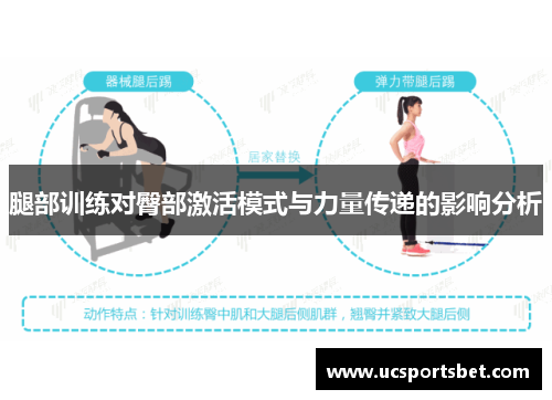 腿部训练对臀部激活模式与力量传递的影响分析